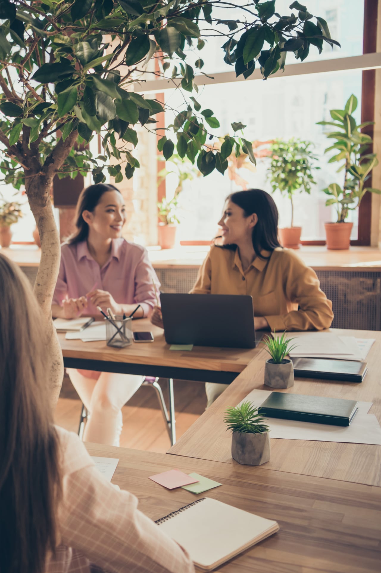 Gestionar el crecimiento y organización de la empresa