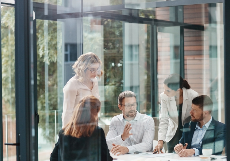 Servicios de consultoría sobre el clima laboral de la empresa